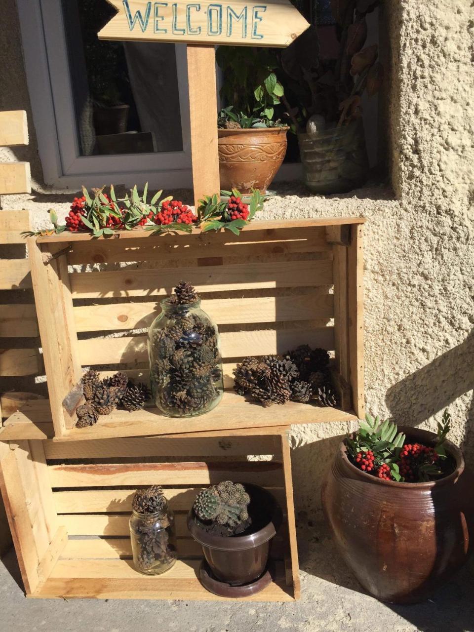 Sunny Guesthouse 卡兹贝吉 外观 照片